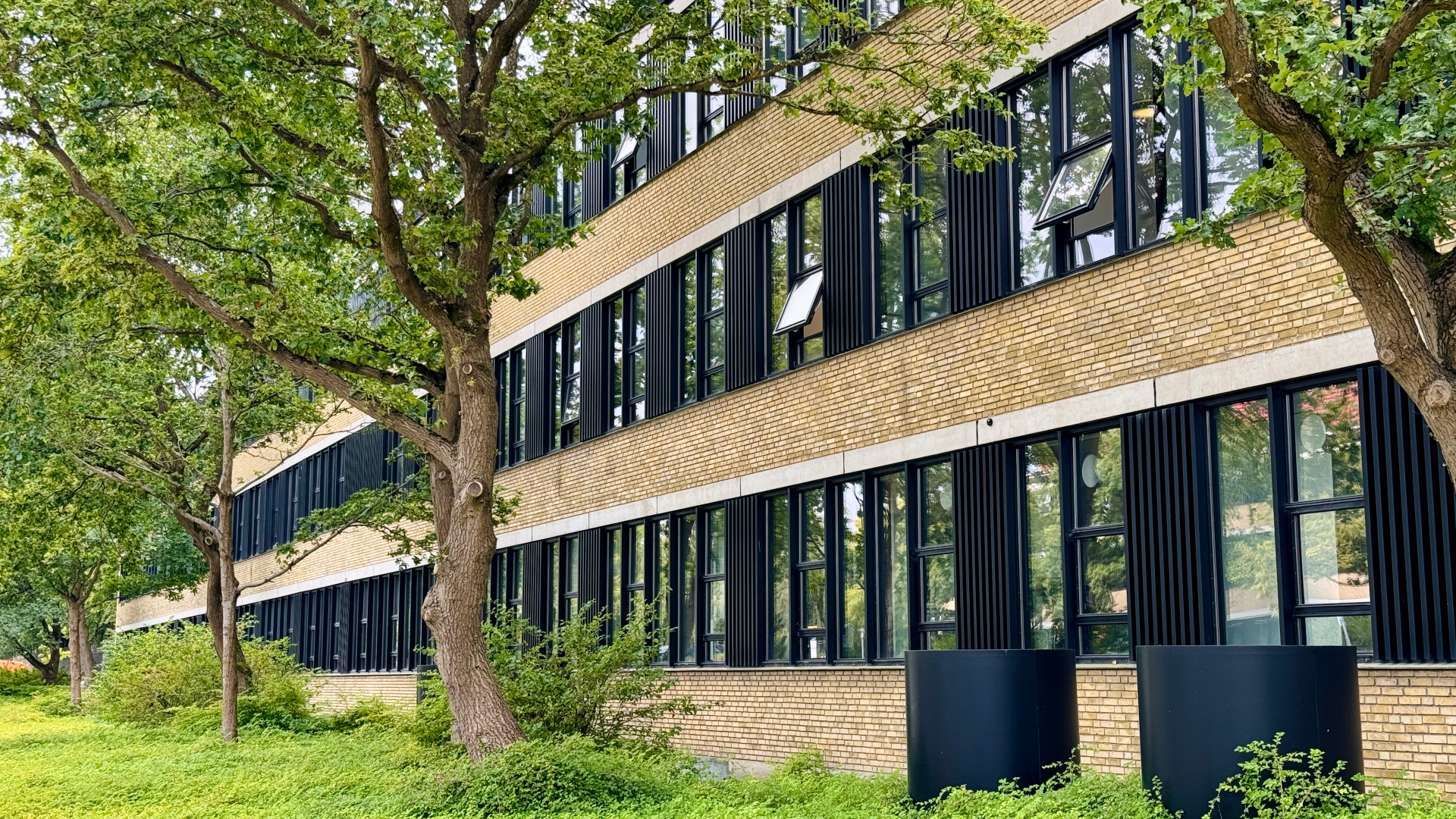 Picture of DTU building with characteristic yellow bricks. ©DTU Picture of DTU building with characteristic yellow bricks.