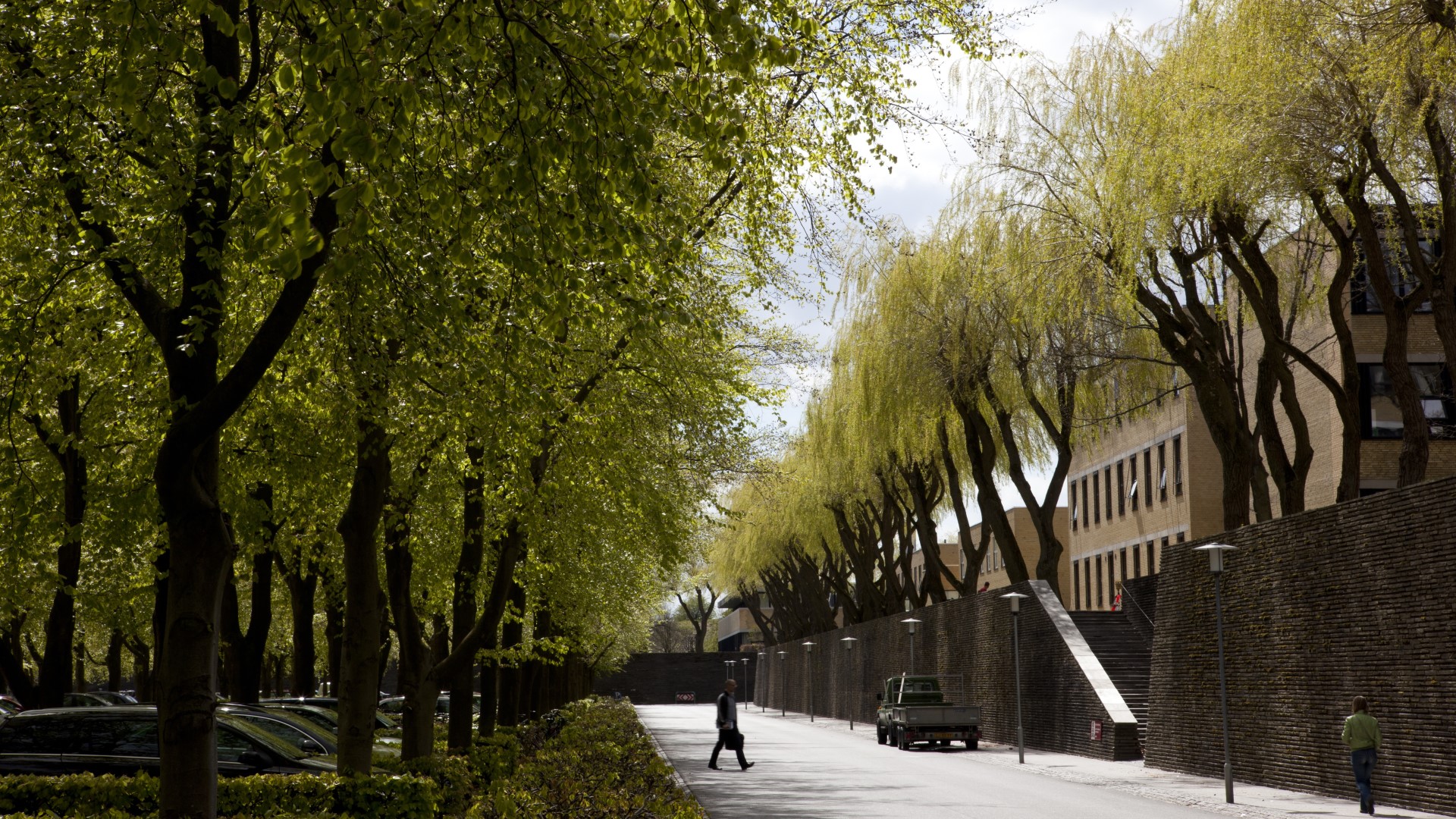 Mature trees line the central avenue that divide the four quadrants that make up DTU's main campus.